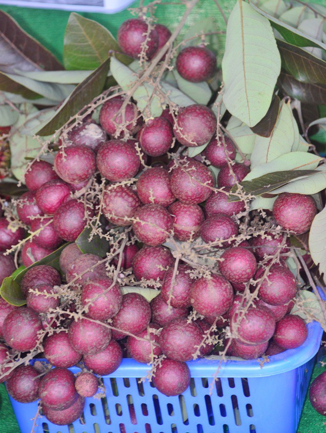 nhan tim viet duoc thuong lai thai sung suc lung mua moi nhanh gia bac trieu