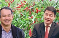tim thay rang ca map khong lo song cach day 25 trieu nam