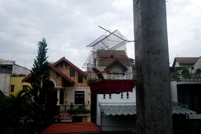 can canh nhem nhuoc cua khu biet thu bi bo hoang gan 10 nam giua long sai gon