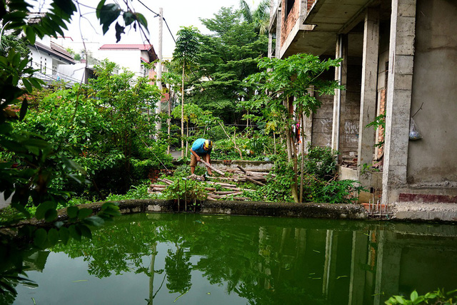 Cận cảnh nhem nhuốc của khu biệt thự bị bỏ hoang gần 10 năm giữa lòng Sài Gòn can canh nhem nhuoc cua khu biet thu bi bo hoang gan 10 nam giua long sai gon