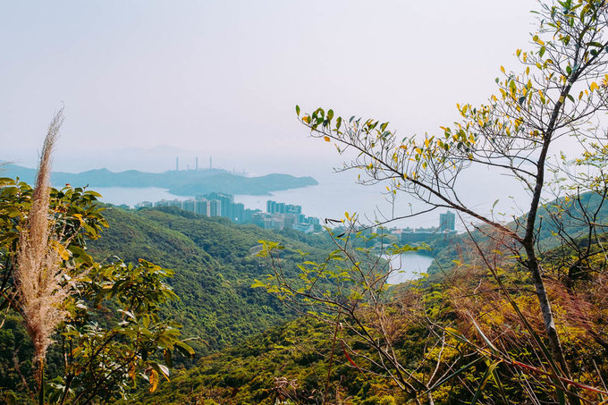 Cuộc sống xa xỉ tại khu nhà giàu Hong Kong cuoc song xa xi tai khu nha giau hong kong