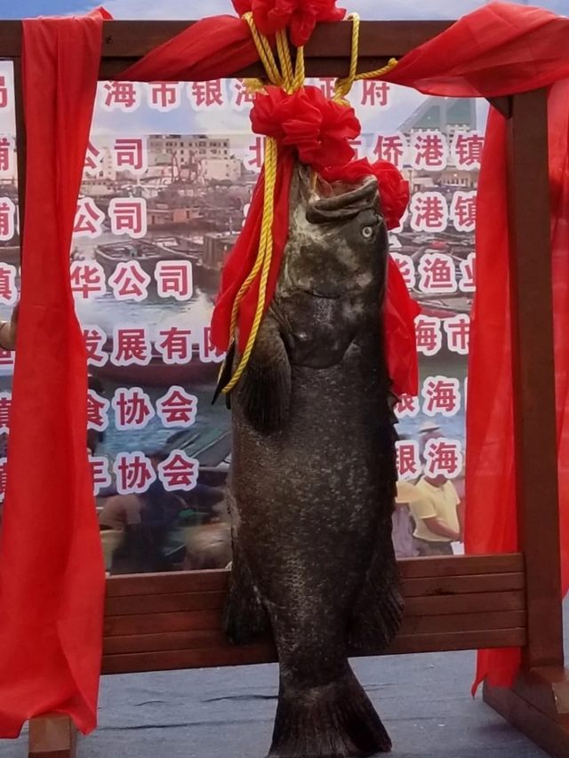 tranh nhau mua ca khung gan 1 ty dong ve an lay may