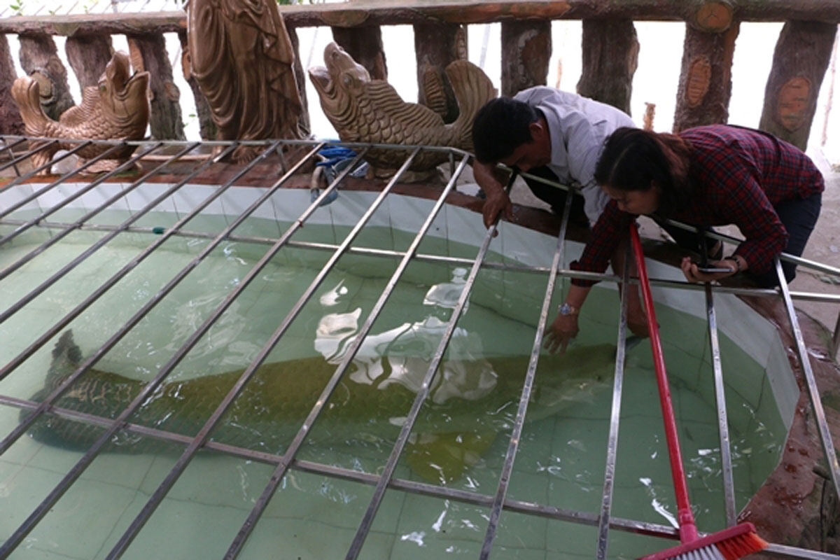 dai gia viet san thuy quai lon nhat the gioi ve tha ao choi vui