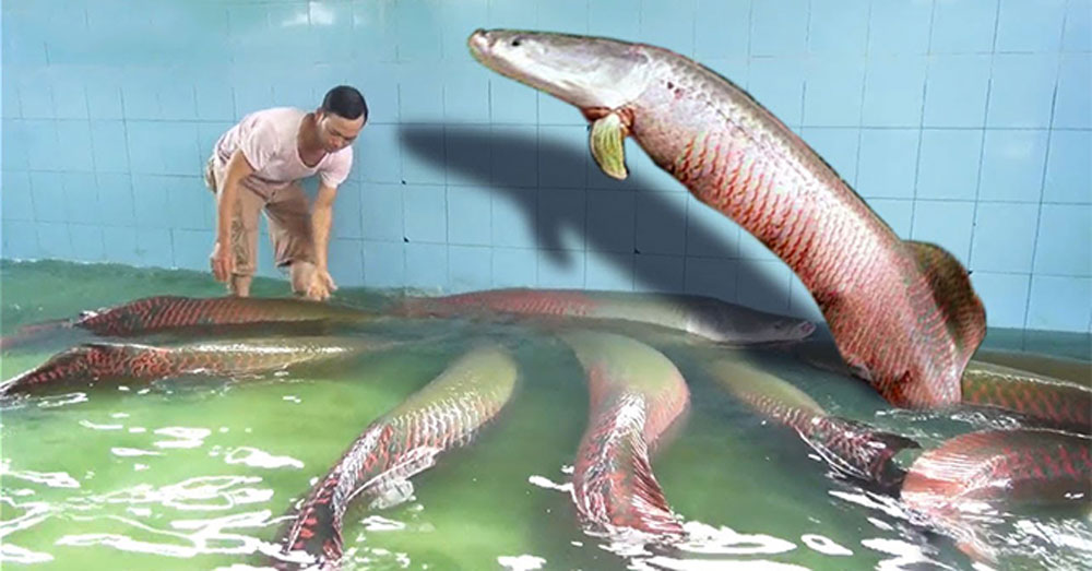 dai gia viet san thuy quai lon nhat the gioi ve tha ao choi vui
