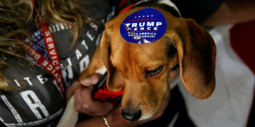 cho o my va lay vi cuoc chien thuong mai cua ong trump