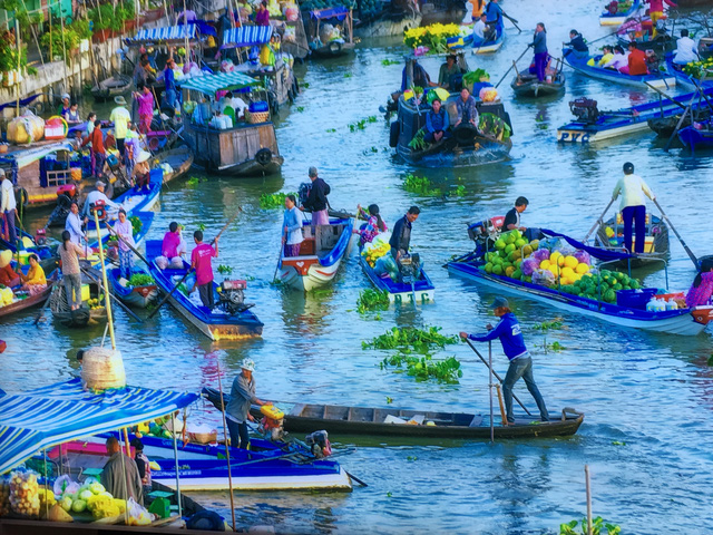 trong lua khong the giau tai sao phai xuat khau gao gia re
