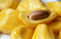 dao ngoai o at ve viet nam