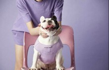 Ngành dịch vụ cho chó nhà giàu bùng nổ ở châu Á