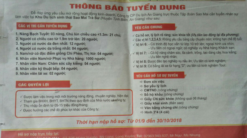 cong ty du lich tuyen chi pheo thi no vao lam viec