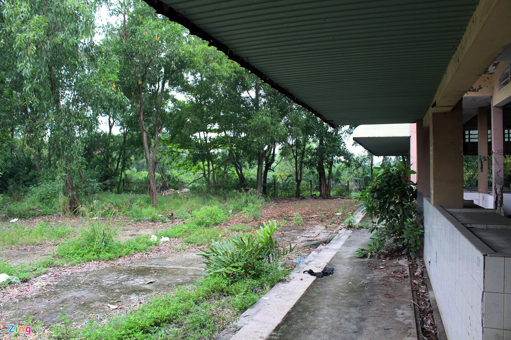 canh do nat ben trong ngoi cho tien ty co 10 tieu thuong o tp hcm