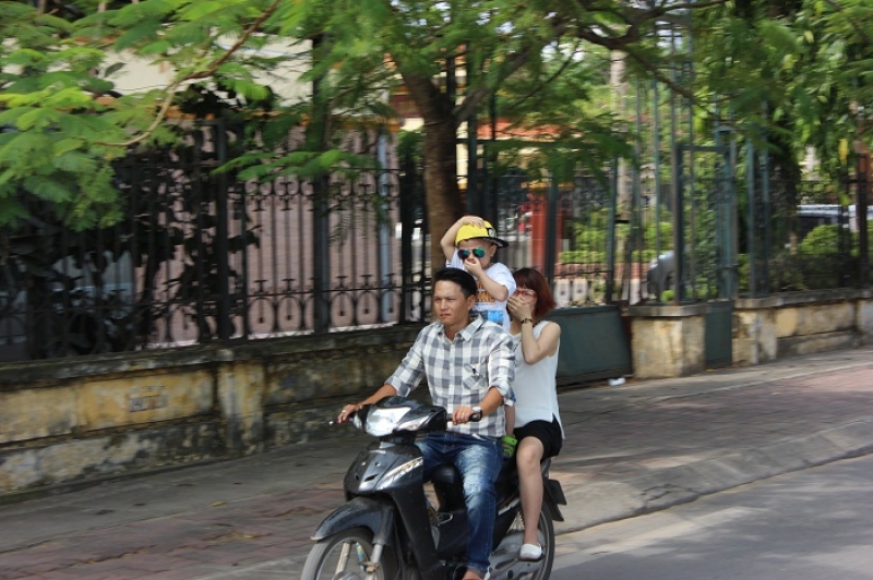 Cá Hồ Tây bất ngờ chết hàng loạt, người dân vẫn lấy về sử dụng ca ho tay bat ngo chet hang loat nguoi dan van lay ve su dung
