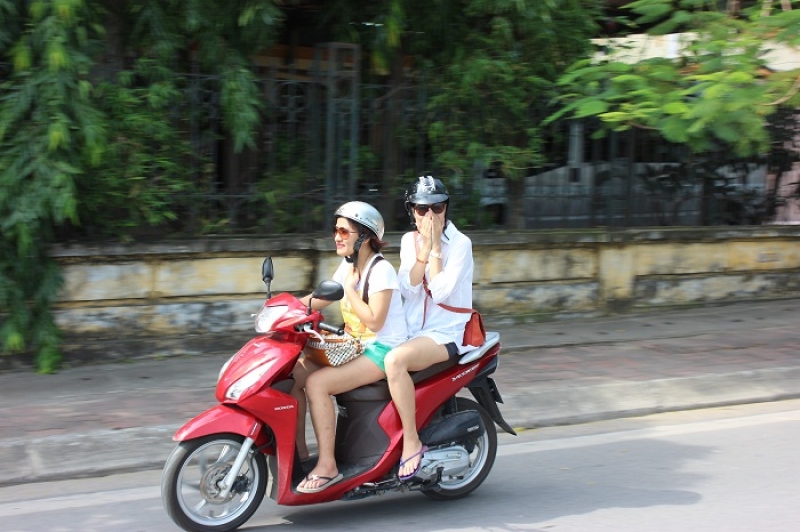 Cá Hồ Tây bất ngờ chết hàng loạt, người dân vẫn lấy về sử dụng ca ho tay bat ngo chet hang loat nguoi dan van lay ve su dung