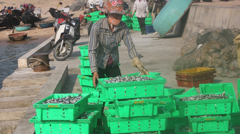 toa an tra lai 506 don khoi kien formosa cua nguoi dan
