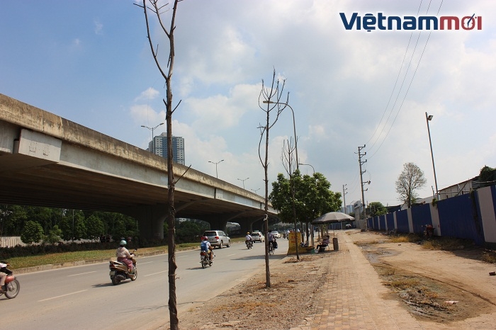 ha noi hang cay kho tren duong vanh dai 3 da duoc thay the