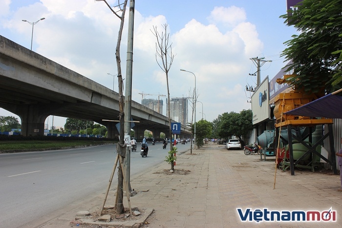 ha noi hang cay kho tren duong vanh dai 3 da duoc thay the