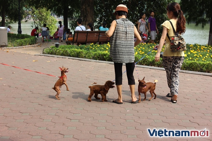 bat chap lenh cam nhieu nguoi van than nhien khong ro mom cho