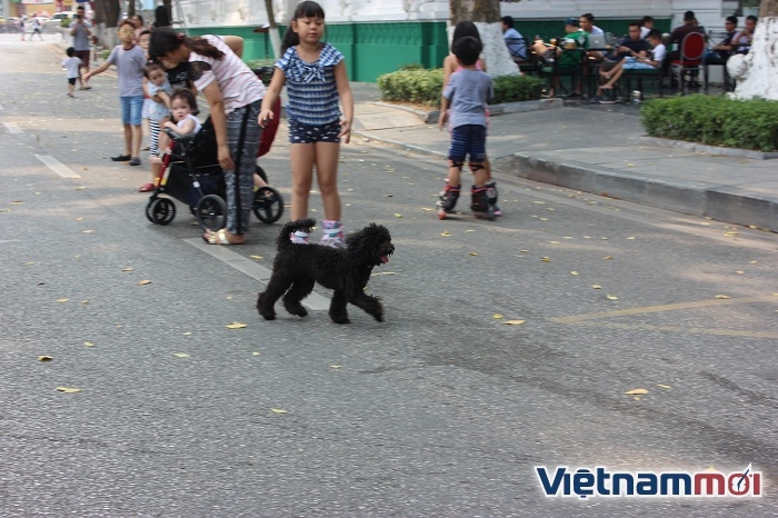 bat chap lenh cam nhieu nguoi van than nhien khong ro mom cho