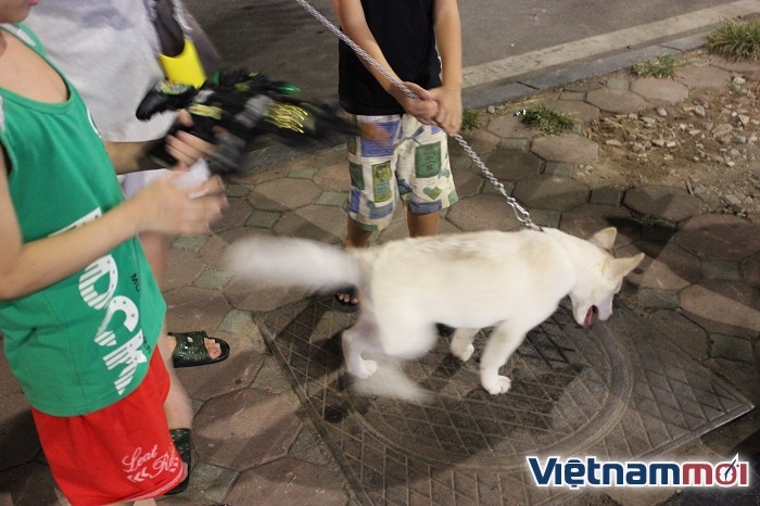 Bất chấp lệnh cấm, nhiều người vẫn thản nhiên không rọ mõm vật nuôi bat chap lenh cam nhieu nguoi van than nhien khong ro mom cho