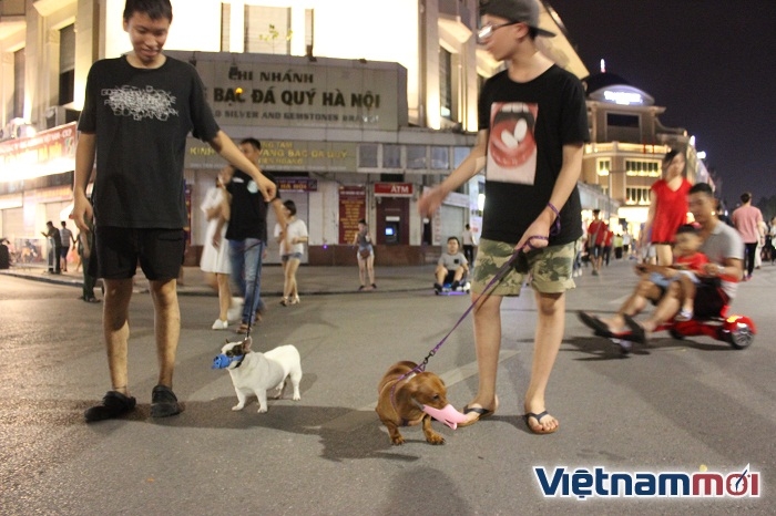 Bất chấp lệnh cấm, nhiều người vẫn thản nhiên không rọ mõm vật nuôi bat chap lenh cam nhieu nguoi van than nhien khong ro mom cho