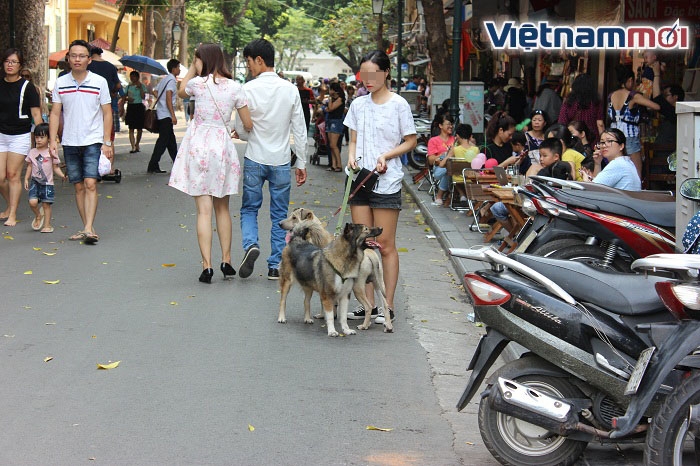 Bất chấp lệnh cấm, nhiều người vẫn thản nhiên không rọ mõm vật nuôi bat chap lenh cam nhieu nguoi van than nhien khong ro mom cho