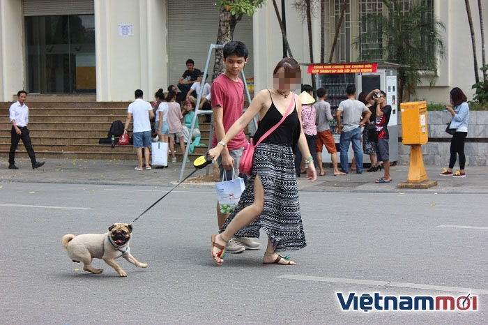 Bất chấp lệnh cấm, nhiều người vẫn thản nhiên không rọ mõm vật nuôi bat chap lenh cam nhieu nguoi van than nhien khong ro mom cho