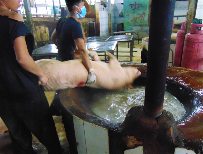 can canh heo luoc nguyen con truoc khi dem tieu huy
