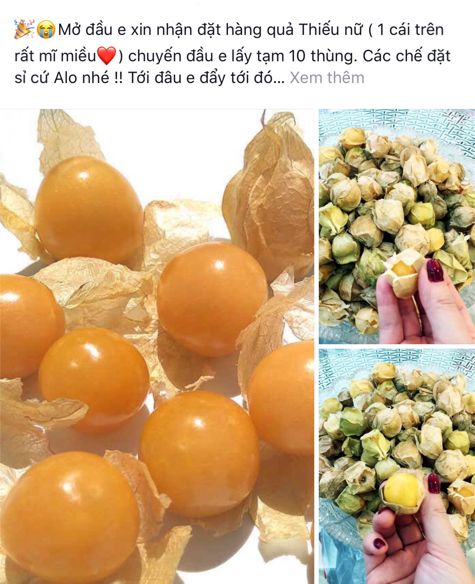 than duoc tam bop dua doi hang nhat hoa ra an hang tau