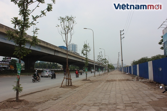 ha noi hang cay kho tren duong vanh dai 3 da duoc thay the