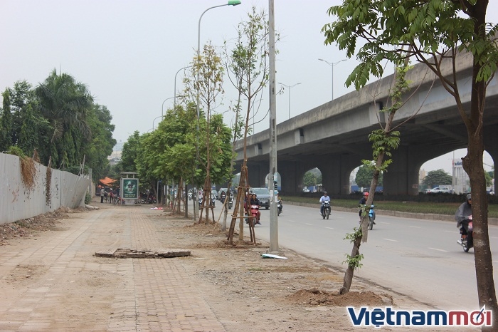 ha noi hang cay kho tren duong vanh dai 3 da duoc thay the
