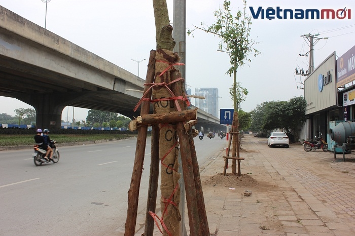 ha noi hang cay kho tren duong vanh dai 3 da duoc thay the