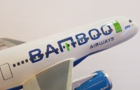 bamboo airways chinh thuc duoc cap phep bay