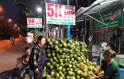 Tham rẻ mua dừa xiêm 5.000 đồng/quả, về bổ ra được 1, 2 giọt nước