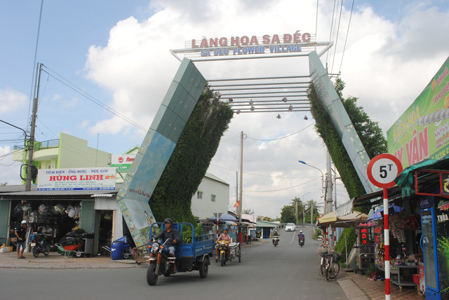 ba trieu gio hoa sa dec cho tet tang mot trieu so voi nam truoc