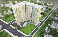 tp hcm cac du an co sai pham trong viec giao dat phai xu li linh dong
