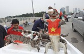 Cá sấu, cúp vàng ‘xuống phố’ được nhiều người săn đón trước trận chung kết AFF Cup 2018