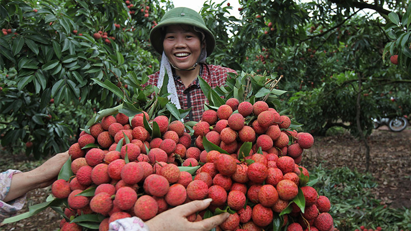 mot lang 600 ti phu chi trung mot vu chia nhau hang ngan ti
