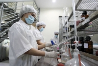 cu dot pha cuoi nam dai gia nganh sua tang lai hon 30