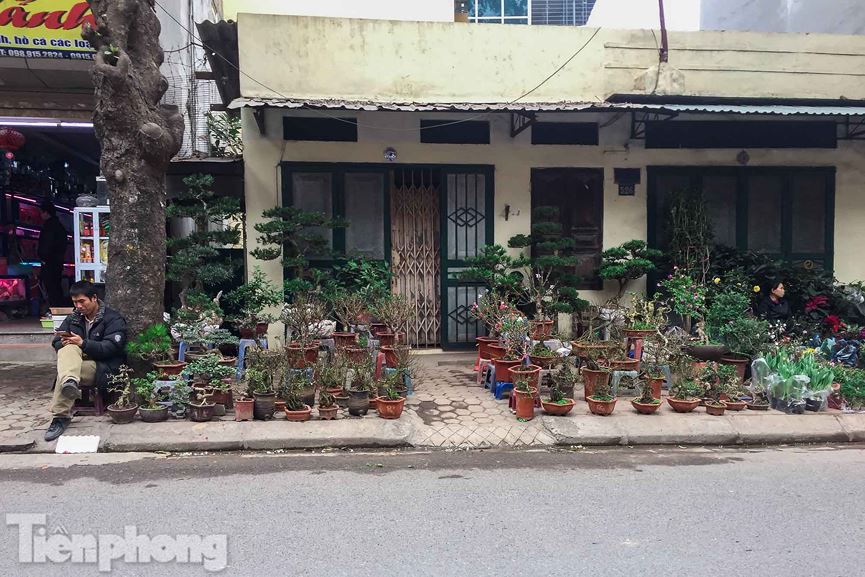 tan thay dao that thon trung quoc tien trieu ngap cho tet ha noi