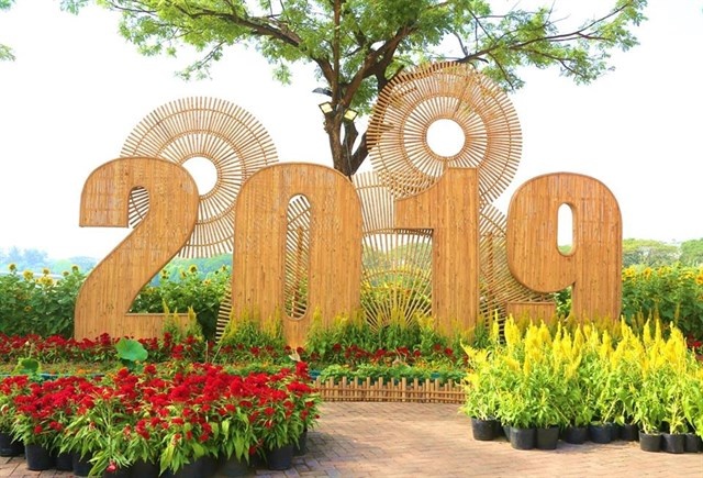 bau bi triu qua cai ngot xanh muot cho hoa tet ki hoi 2019 o khu nha giau phu my hung