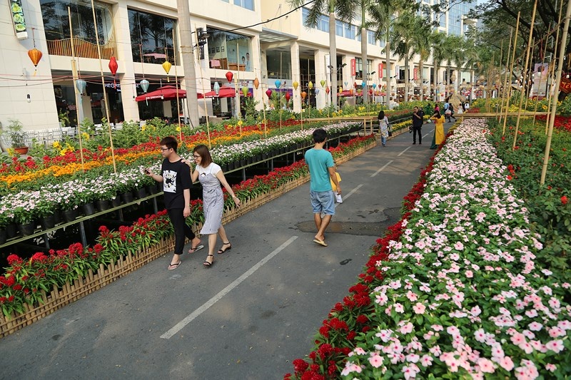 bau bi triu qua cai ngot xanh muot cho hoa tet ki hoi 2019 o khu nha giau phu my hung