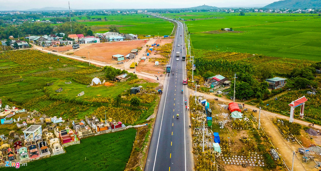 vu mai tet e chua tung co hang nghin goc chong cho giua dong