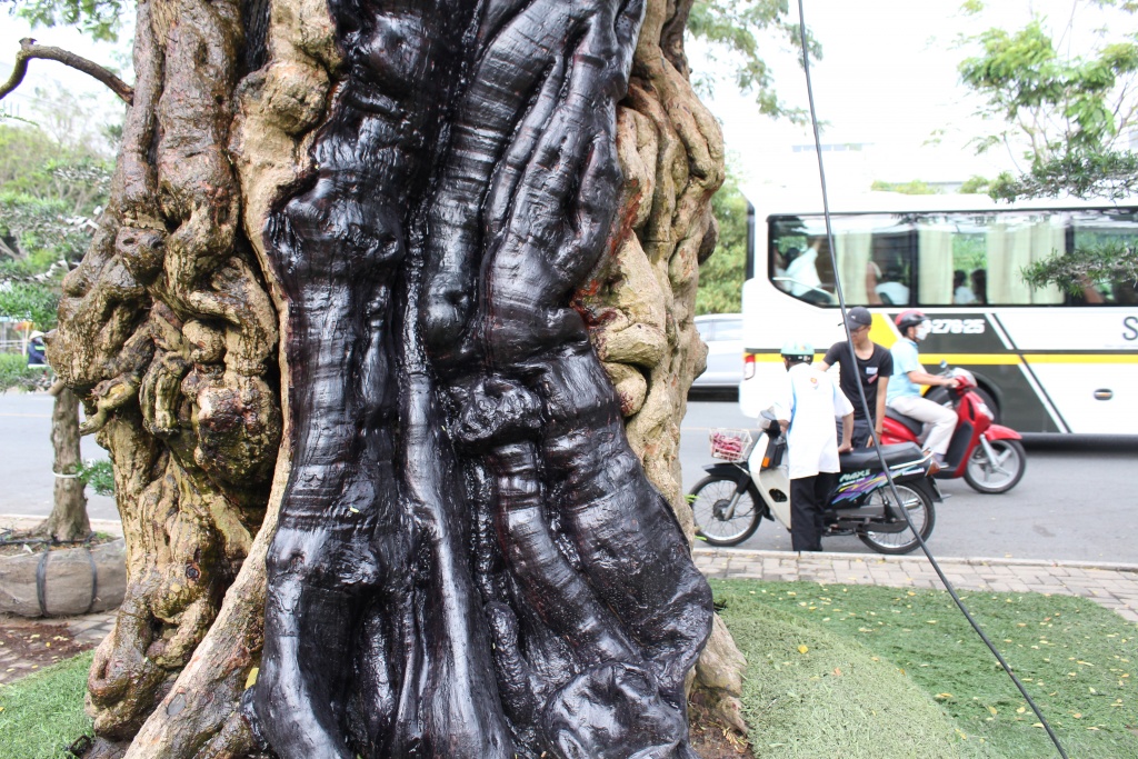 nong dan mien tay thue xe cau me khe xoai tram tuoi len cho hoa tet sai gon ban gia tien ti