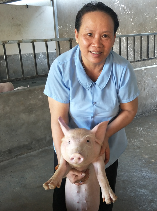 nam hoi ke chuyen nuoi heo xua va nay