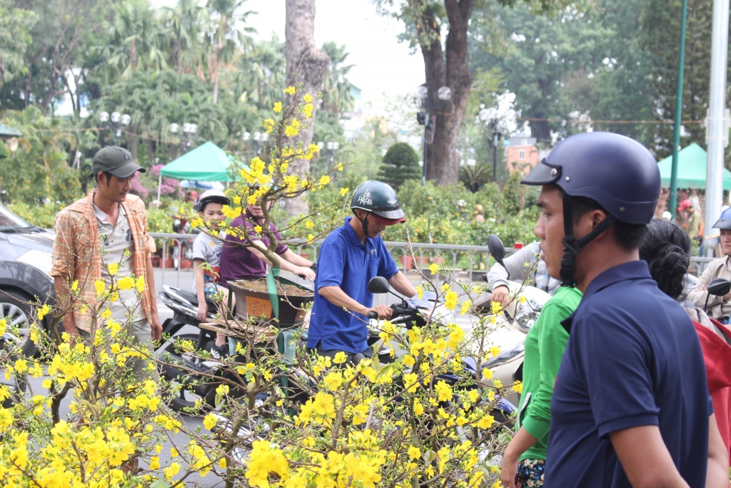 nha vuon thuong lai keo mai quat van tho xuong duong pho sai gon bien thanh cho hoa chieu 30 tet