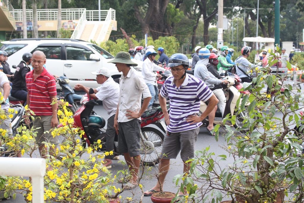 nha vuon thuong lai keo mai quat van tho xuong duong pho sai gon bien thanh cho hoa chieu 30 tet
