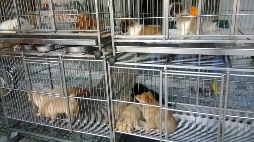 nhung cho doc dao chi ban duy nhat mot mat hang o sai gon