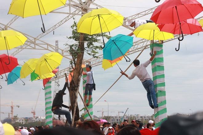 tham hoa canh dong hoa huong duong o sai gon