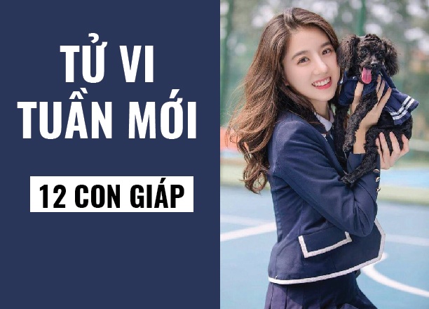 tu vi tuan moi 71 131 cua 12 con giap tuoi mui ban ron cuoi xin tuoi tuat van doi sao doi