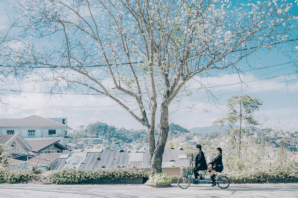 10 diem check in moi toanh o da lat dep tua troi au khong di thi qua tiec