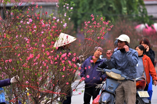 nhung khu cho hoa tet truyen thong lung danh dat ha thanh